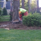 Hudson's Tree Service