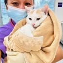 Rosecrans Veterinary Clinic - Pet Services