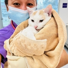 Rosecrans Veterinary Clinic