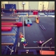 Lakewood Ranch Gymnastics