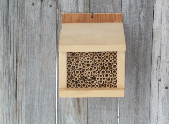 WasatchMasonBees - Logan, UT