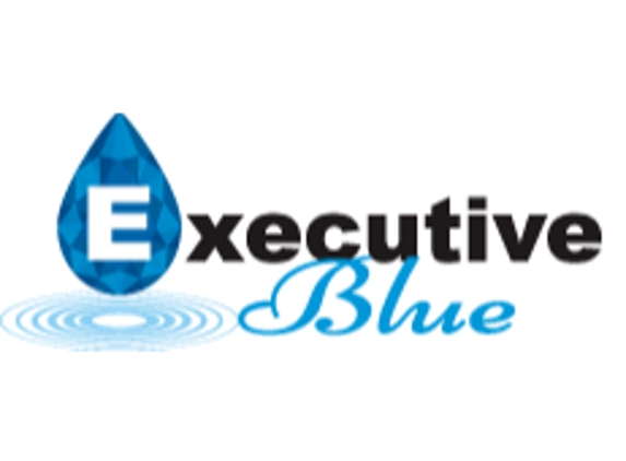 Executive Blue Pools - Frisco, TX