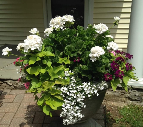 Leo's Landscaping, Lawn & Garden Solutions, Inc. - Danbury, CT