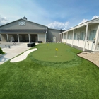 Backyard Greens