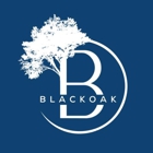 Blackoak Landscape