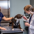 Veterinary Eye Center - Massachusetts - Veterinarians