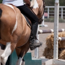 Table Mountain Ranch Inc - Horse Training