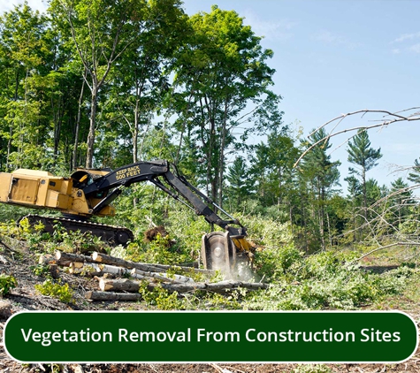 Woodstock Tree and Stump Removal - Coldstream, VIC. Vegetation Removal From Construction Sites