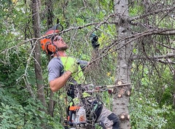 A + A Tree & Landscaping