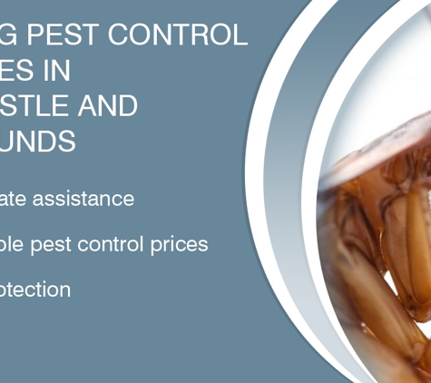 Impact Pest Control. Leading Pest Control Services In Newcastle And Surrounds