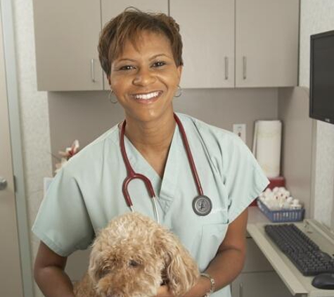 Animal Hospital of Ft Lauderdale - Oakland Park, FL