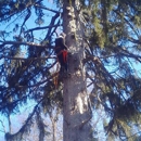 Treco Inc - Tree Service