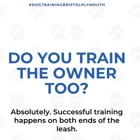 Boston to Dog Training Elite Bristol - Plymouth
