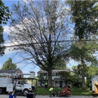 Primetime Tree and Landscape Services