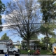 Primetime Tree and Landscape Services