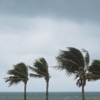 Florida Inspections Unlimited gallery