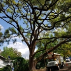 TreeTime