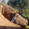 Chris Keller's Tree Service gallery