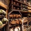 Creature Stall - Gift Shops