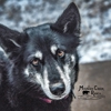 Oak Grove Animal Clinic,MISSOURI gallery