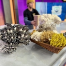 Bear Valley Mushrooms - Farms