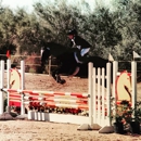 Talisman Farm - Horse Boarding