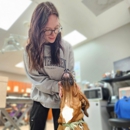 Wellesley Animal Hospital - Veterinary Clinics & Hospitals