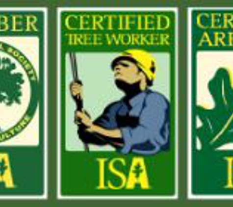 A Cut Above Tree Service - East Peoria, IL