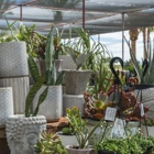 Desert Horizon Nursery