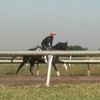 Palm Meadows Training Center gallery