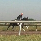 Palm Meadows Training Center