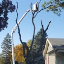 Rg Tree Service - Arborists