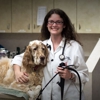 Virginia Veterinary Centers - Midlothian gallery