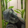 Nueva Alma Yoga & Wellness Studio gallery