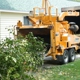 High Peaks Tree Removal