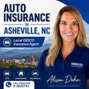 Alison Dohn - GEICO Insurance Agent - Insurance