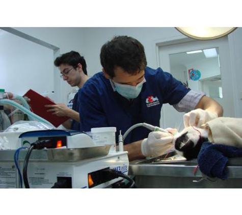 Kirrawee Veterinary Hospital - Kirrawee, NSW
