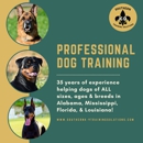 Southern K-9 Training Solutions - Pet Training