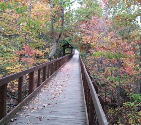 MAG Outdoor Photography - Montgomery, AL. Board Walk at Cheaha State Park