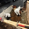Guardian Angel Restoration gallery