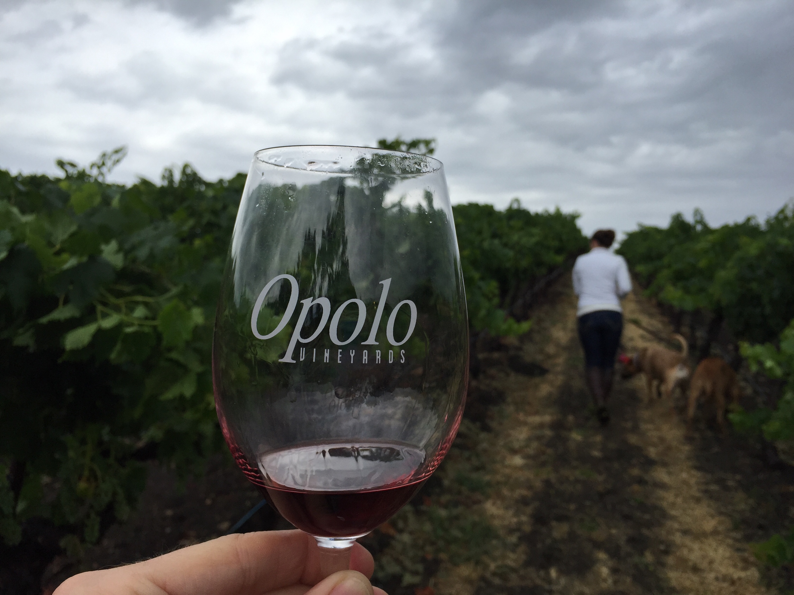 Opolo Vineyards 7110 Vineyard Dr, Paso Robles, CA 93446 - YP.com