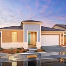 Renata at Domani By Pulte Homes - Home Builders