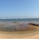 Bubala's by the Bay