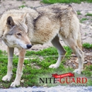 Nite Guard Solar - Animal Removal Services