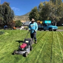 Lawn Thumbs - Gardeners