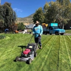 Lawn Thumbs
