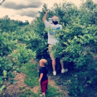 Moorhead's Blueberry Farm