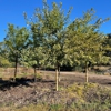 Helmin Landscaping gallery