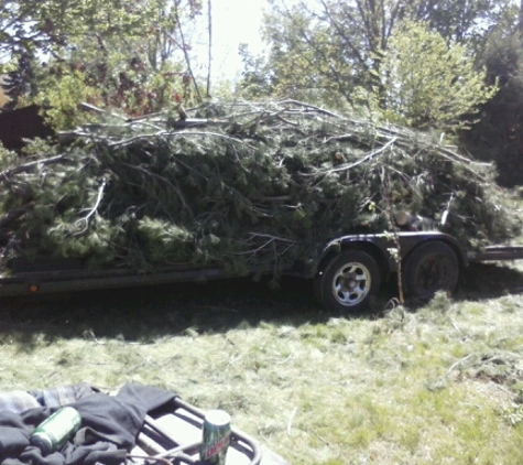 T & J Tree Service