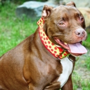 Diesel Dog Neckwear - Dog & Cat Furnishings & Supplies